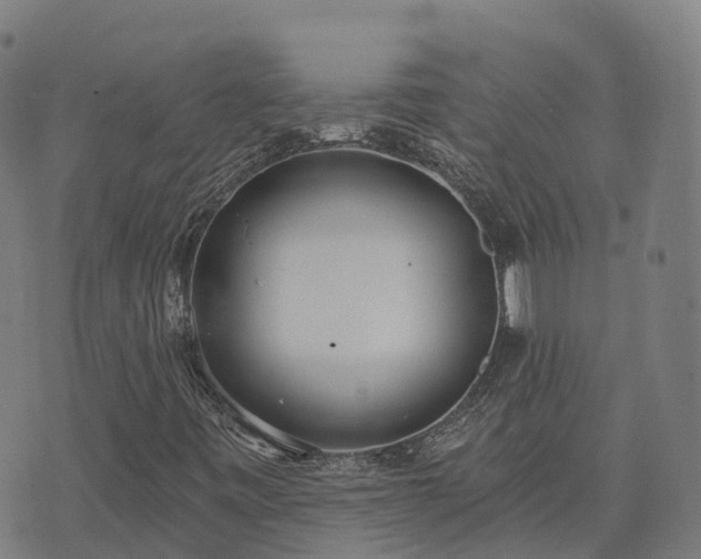 X0000074941443200609081339