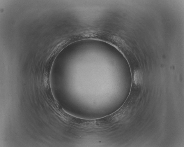 X0000074941444200609081339