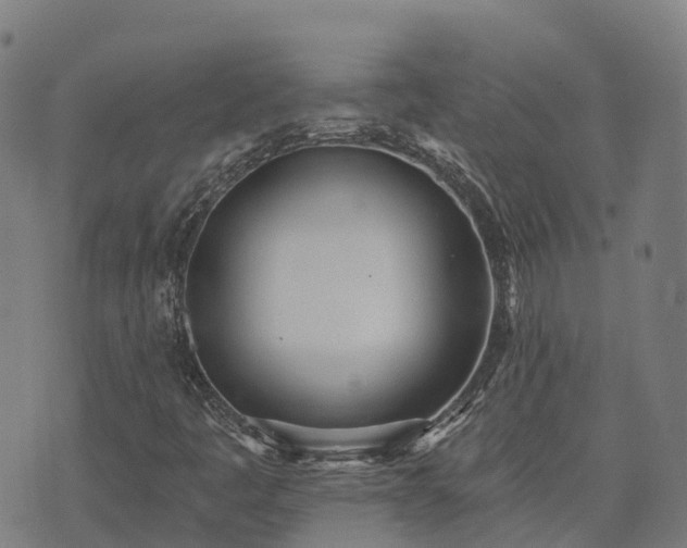 X0000074941445200609081339