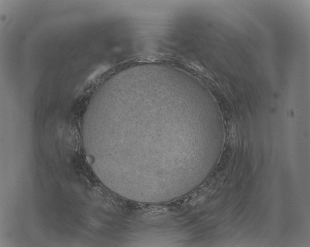 X0000074941446200609081339