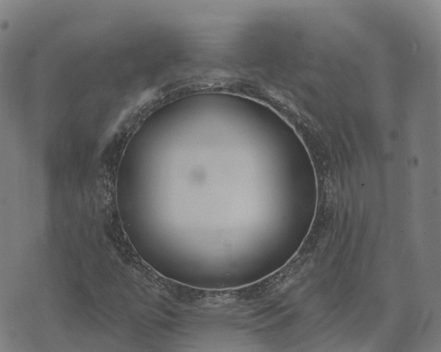 X0000074941447200609081339