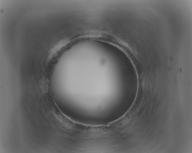 X0000074941448200609081339