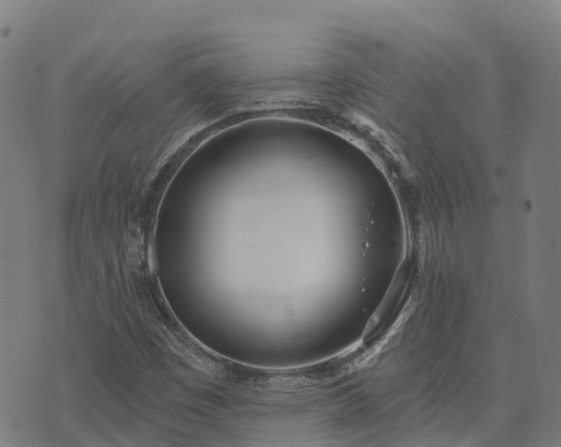 X0000074941449200609081339