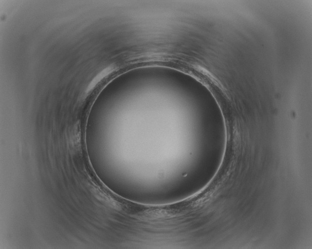 X0000074941450200609081339