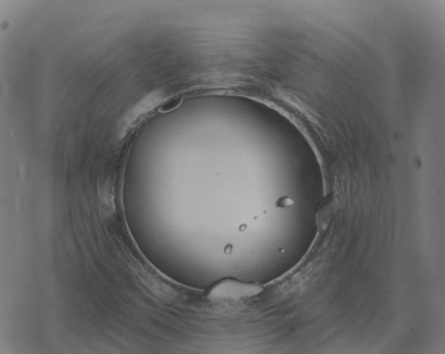 X0000074941451200609081339