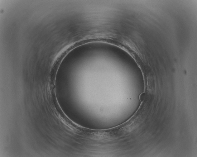 X0000074941452200609081339