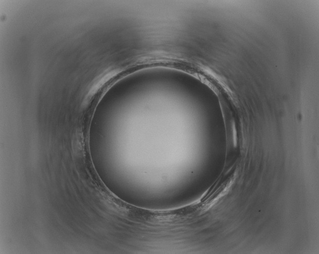 X0000074941453200609081339