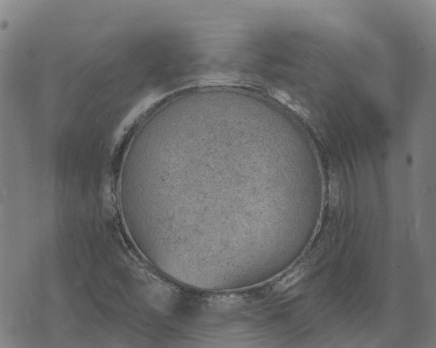 X0000074941454200609081339