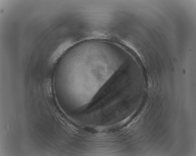 X0000074941455200609081339