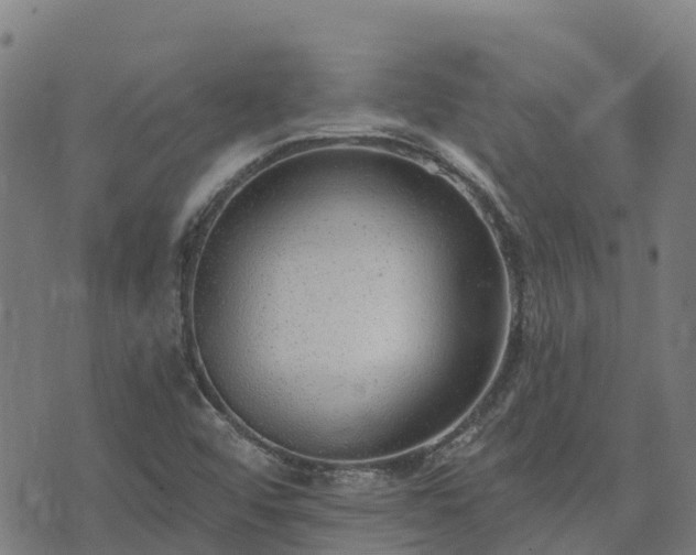 X0000074941456200609081339