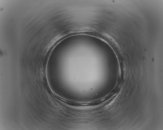 X0000074941457200609081339