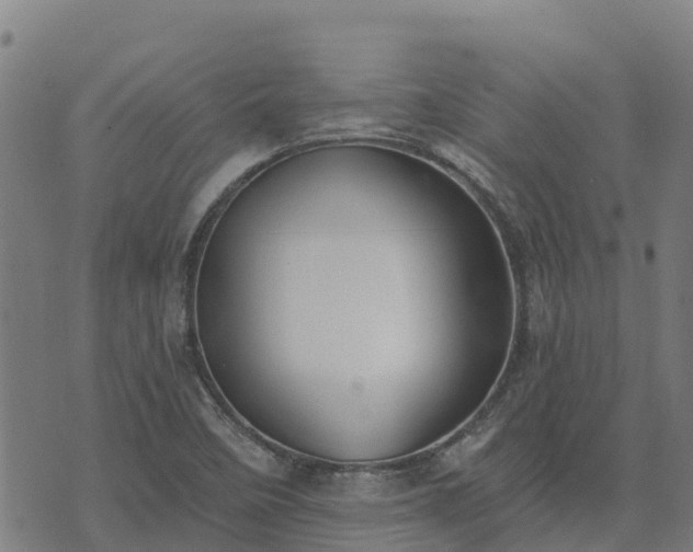 X0000074941458200609081339