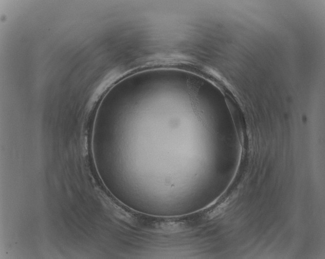 X0000074941459200609081339