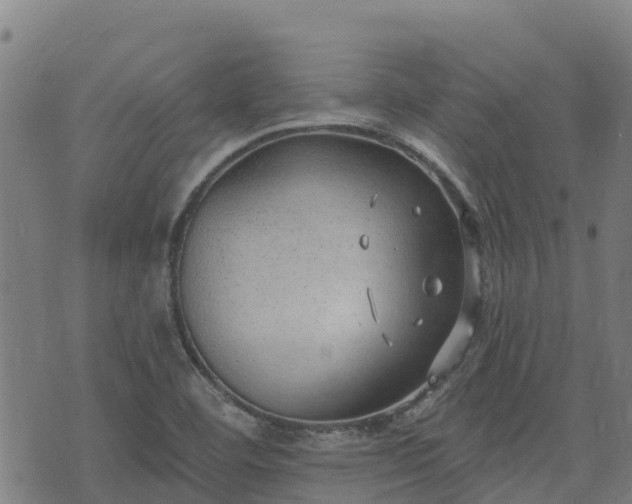 X0000074941460200609081339