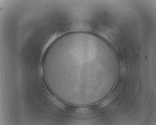 X0000074941462200609081339