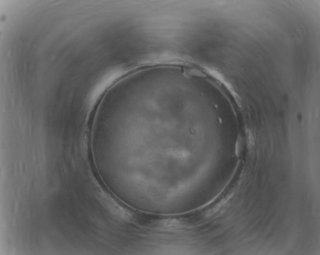 X0000074941463200609081339