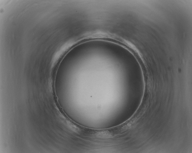 X0000074941464200609081339