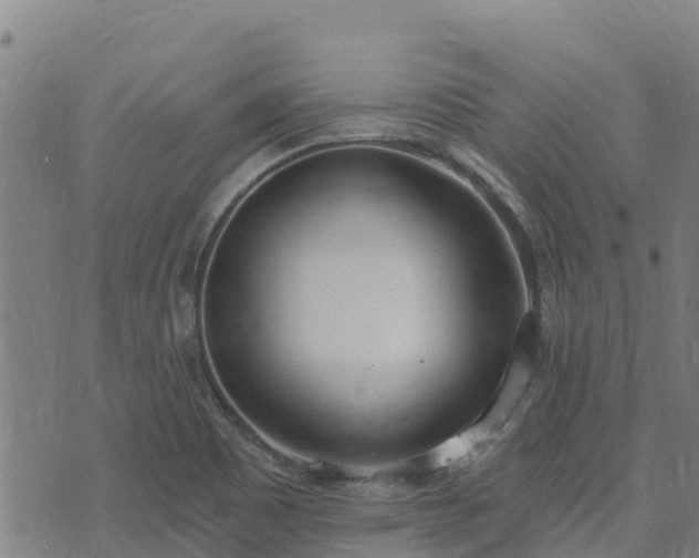 X0000074941465200609081339