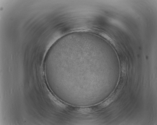 X0000074941466200609081339