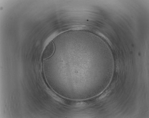 X0000074941467200609081339