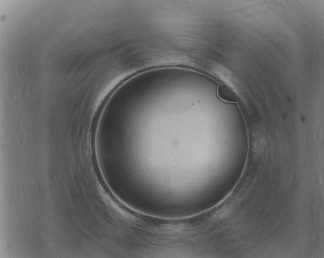 X0000074941468200609081338