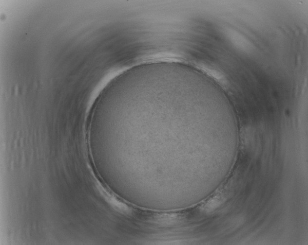 X0000074941470200609081338