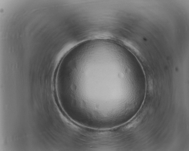 X0000074941471200609081338