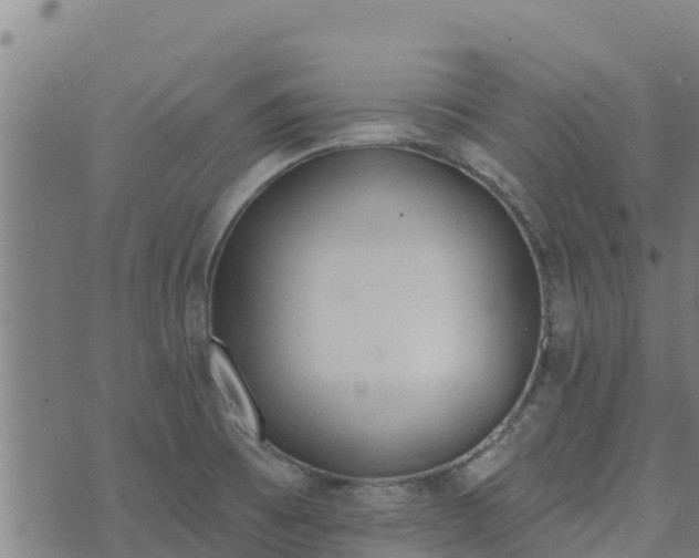 X0000074941473200609081338