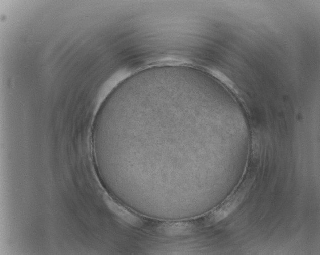 X0000074941474200609081338