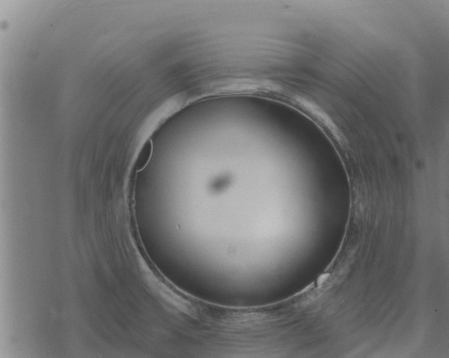 X0000074941475200609081338