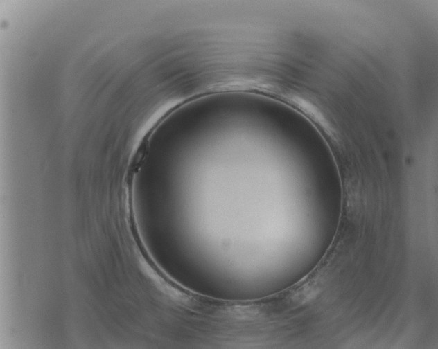 X0000074941476200609081338