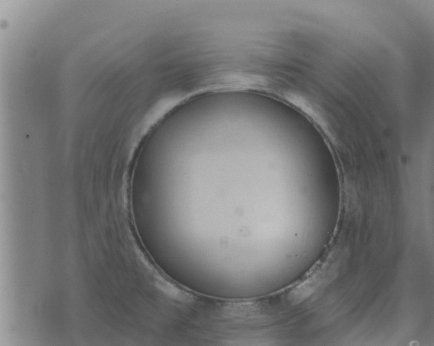 X0000074941477200609081338