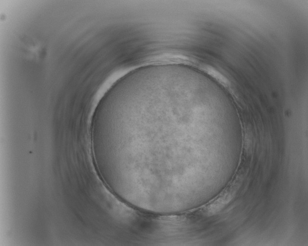 X0000074941478200609081338