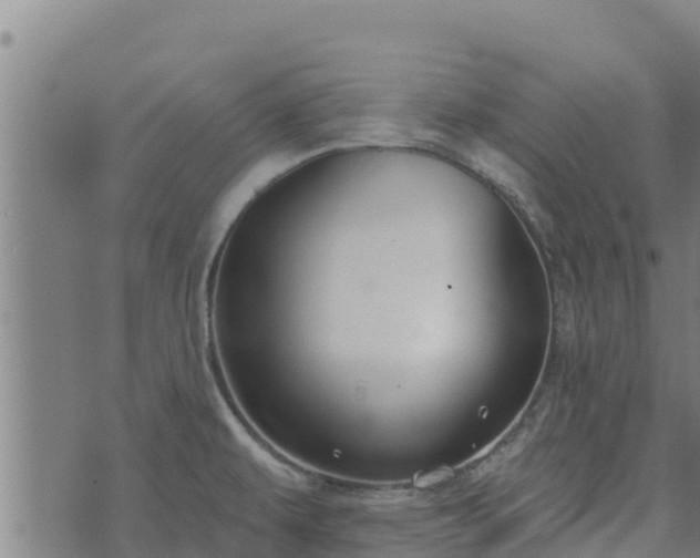 X0000074941479200609081338