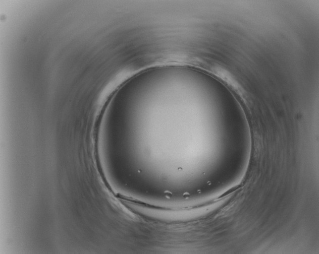 X0000074941480200609081338