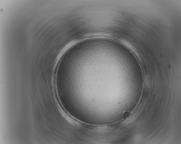 X0000074941482200609081338