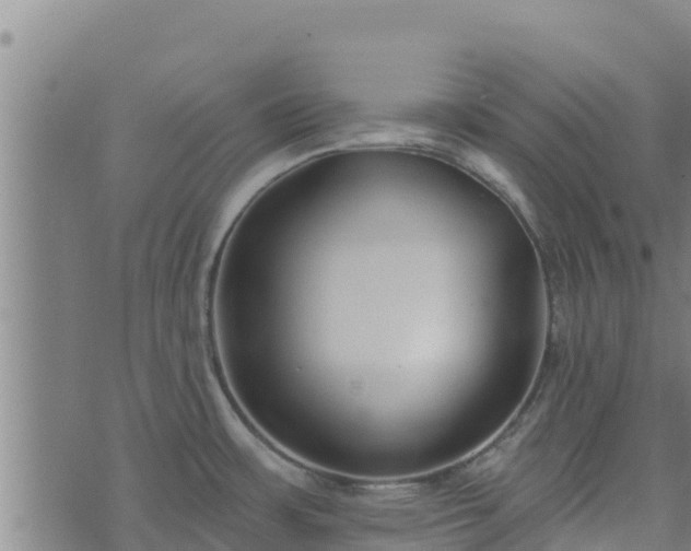 X0000074941483200609081338