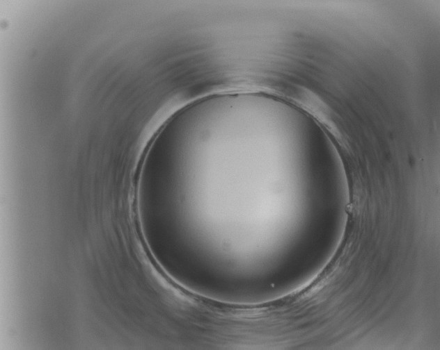 X0000074941484200609081338