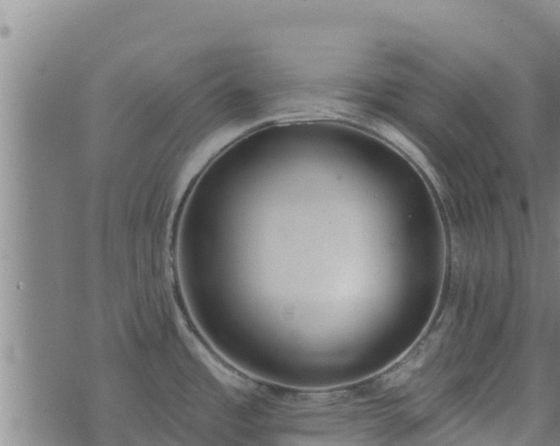 X0000074941485200609081338