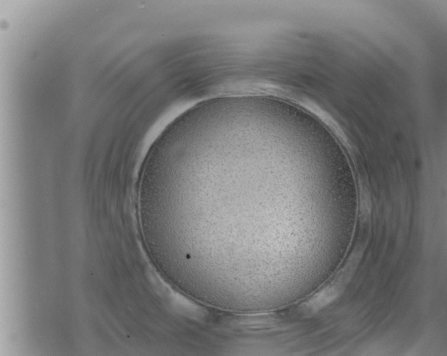 X0000074941486200609081338