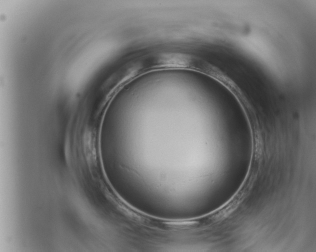 X0000074941487200609081338