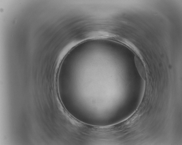 X0000074941488200609081338