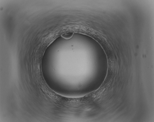 X0000074941489200609081337