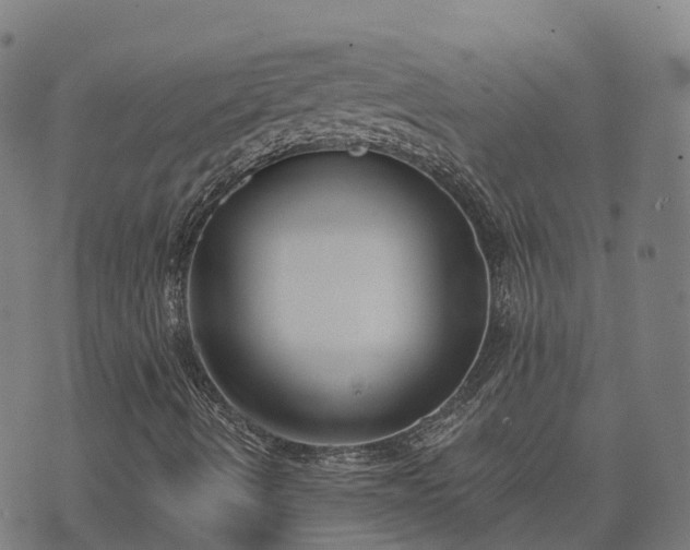 X0000074941490200609081337