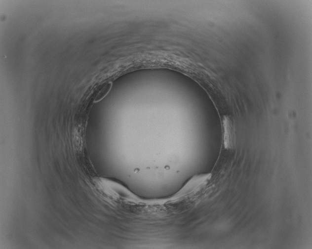 X0000074941491200609081337