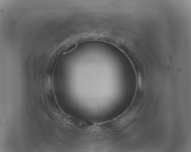 X0000074941492200609081337