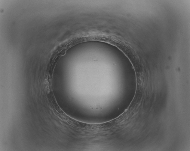 X0000074941493200609081337