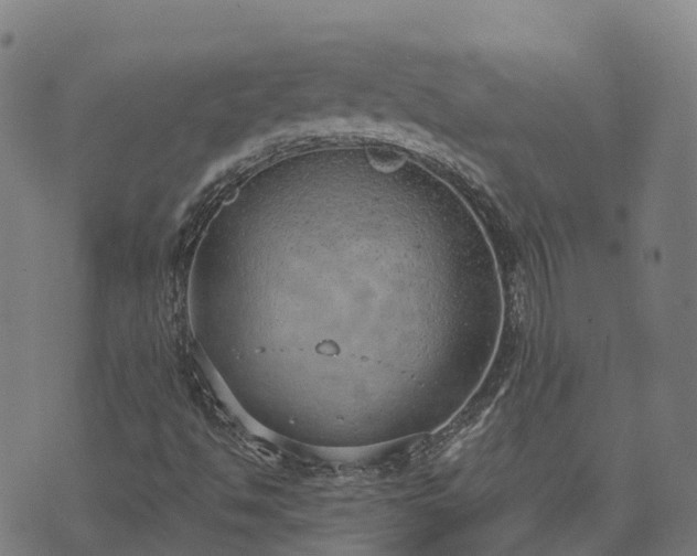 X0000074941494200609081337