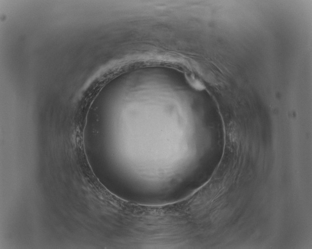 X0000074941495200609081337