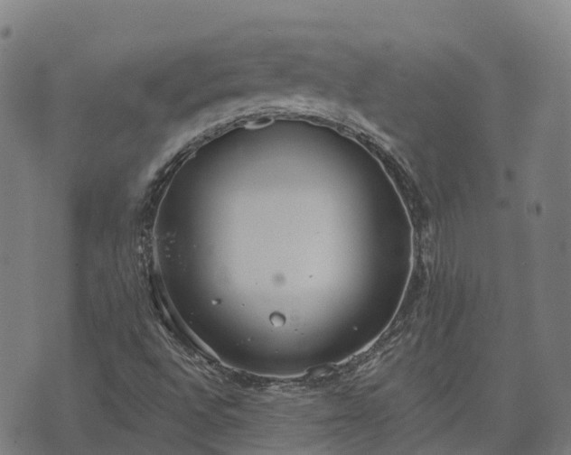 X0000074941496200609081337